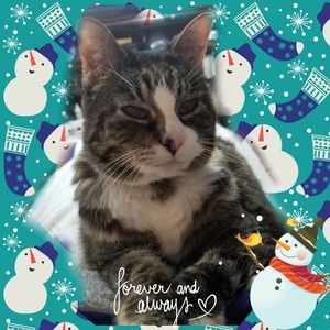 Meet your Posher, Carrie